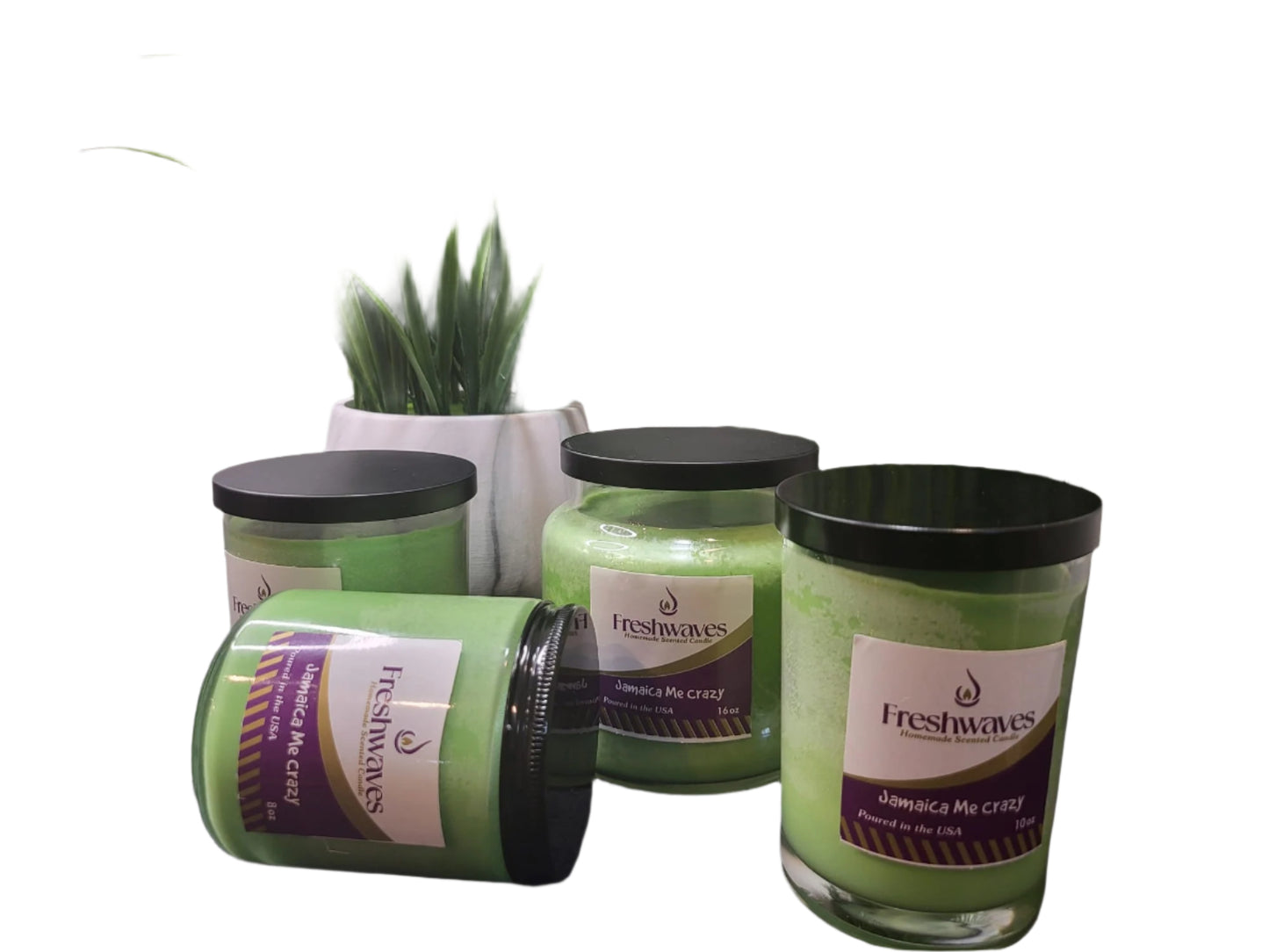 Jamaica Me Crazy near me in Dayton MN USA, Freshwaves Scented Candles & Home Fragrance Dayton MN USA, 1a