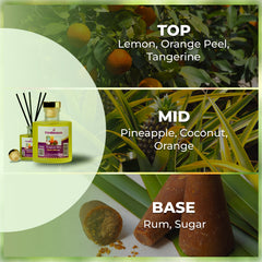 Freshwaves Tropical Bliss Reed Diffuser 150ml – Best Reed Diffusers with Elegant Reed Sticks