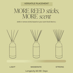 Freshwaves Tropical Bliss Reed Diffuser 150ml – Best Reed Diffusers with Elegant Reed Sticks