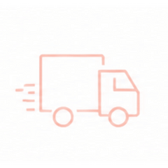 Fast & Secure Shipping